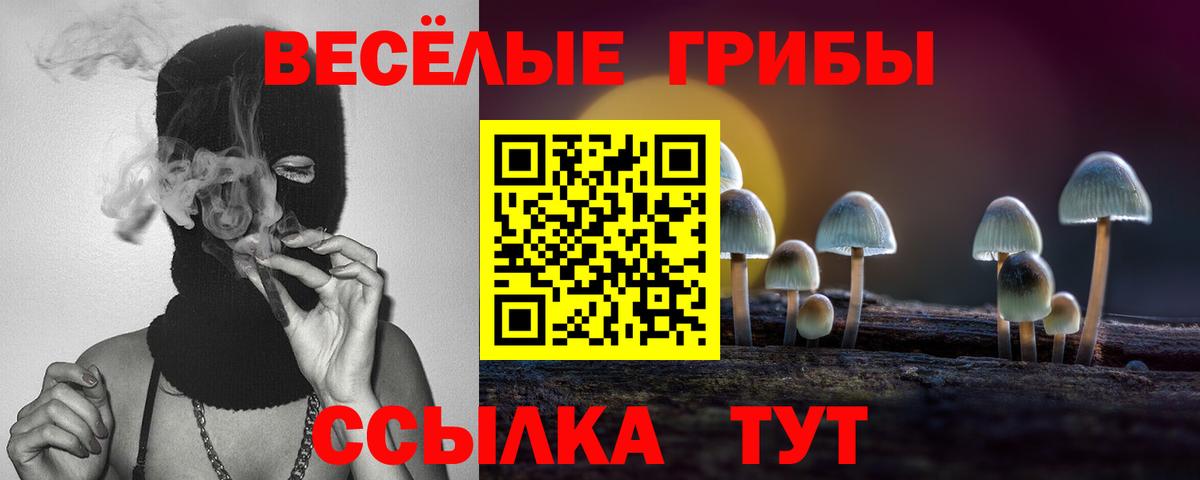 Галлюциногенные грибы мухоморы Будённовск